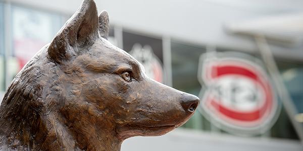 Bronze husky statue